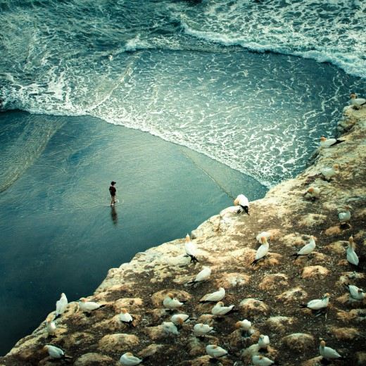 อัลบั้ม 94+ ภาพพื้นหลัง ภาพระยะไกล คมชัด