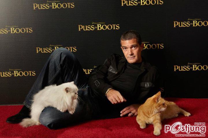 Antonio Banderas & Cats @ Cat Premiere Puss In Boots