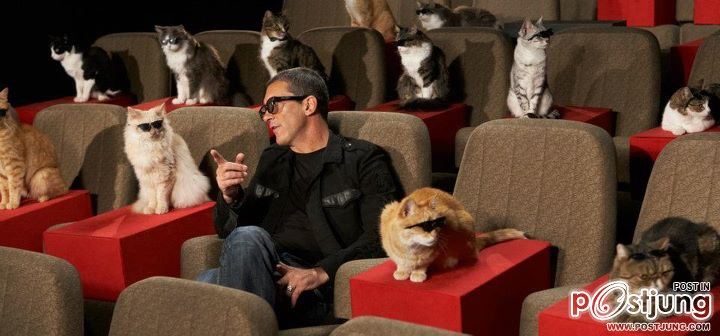 Antonio Banderas & Cats @ Cat Premiere Puss In Boots