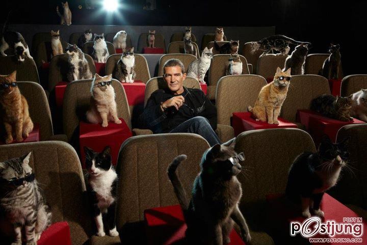 Antonio Banderas & Cats @ Cat Premiere Puss In Boots