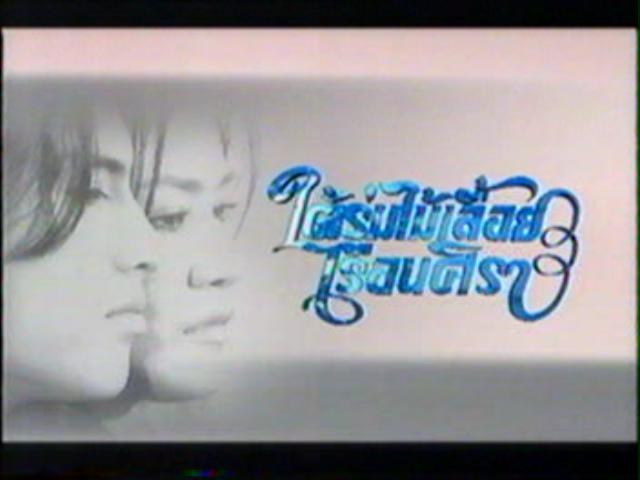 ใต้ร่มไม้เลื้อย เรือนศิรา