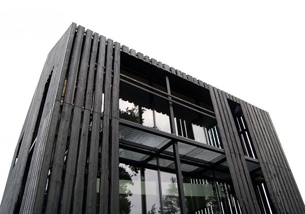 Compound Style House Plan in Latvia