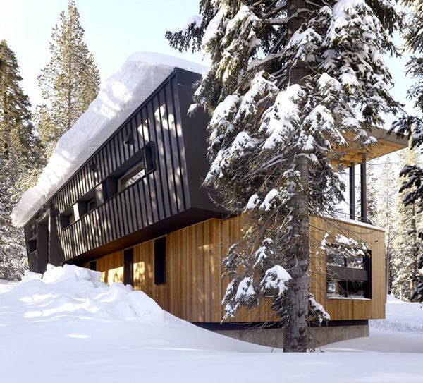 Mountain Dream Cabin by John Maniscalco Architecture