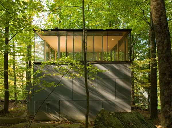 เหมือนฐานลับกลางป่า ชอบจังHave a wooded lot? Time to build a forest book nook!