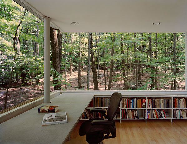 เหมือนฐานลับกลางป่า ชอบจังHave a wooded lot? Time to build a forest book nook!