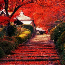 Beautiful Japan By Hermione