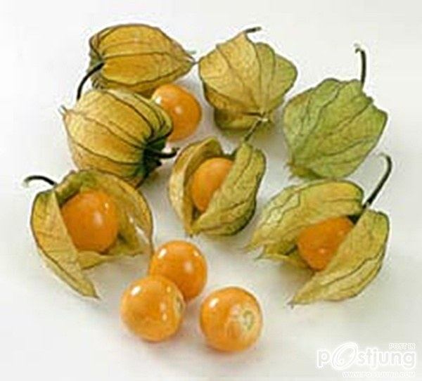 เคพกูสเบอรี่ (Cape gooseberry) ผลไม้เพื่อสุขภาพ~