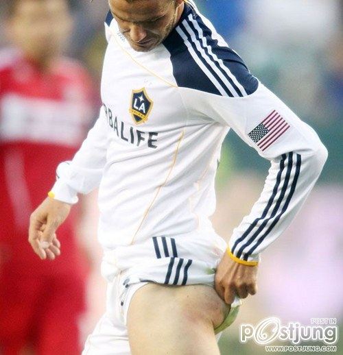 ขาประจำพี่เบ็ค