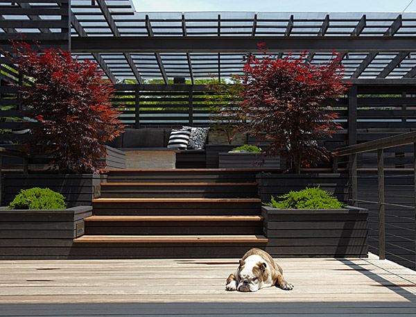 โล่งสบายดีจังChicago Modern House Design - amazing rooftop patio