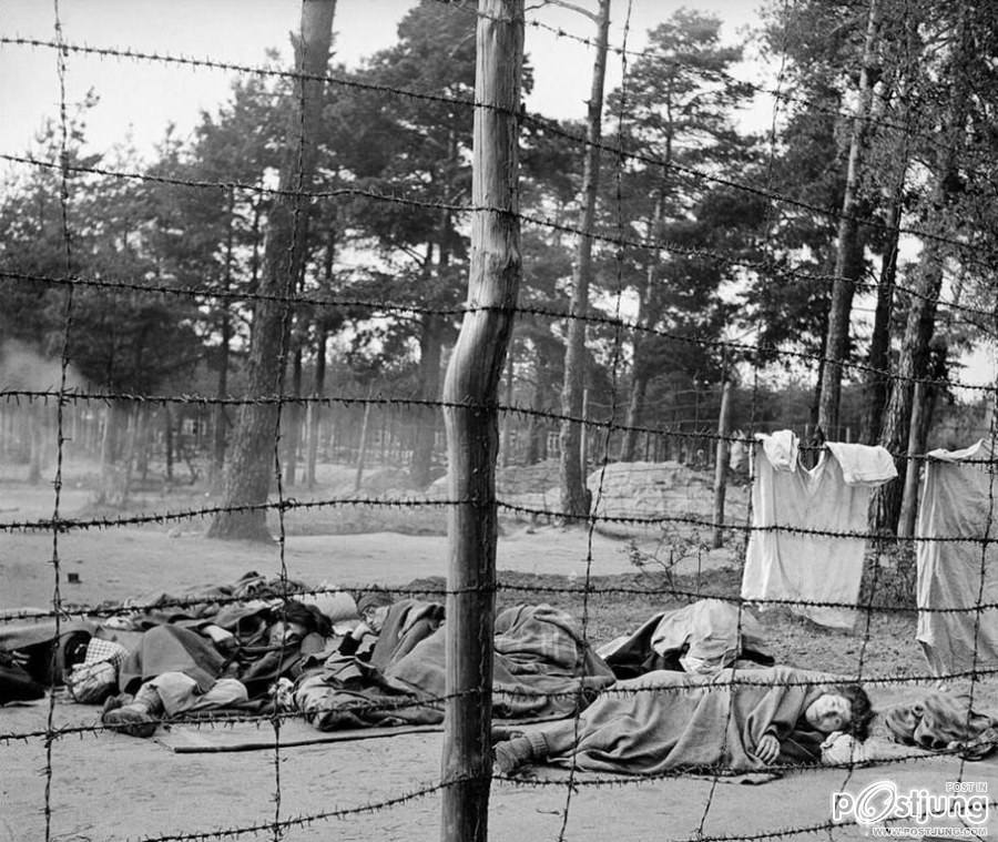 ภาพสลดในค่ายกักกันชาวยิว