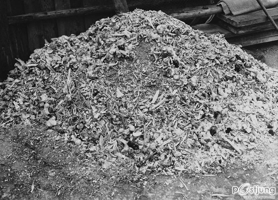 ภาพสลดในค่ายกักกันชาวยิว