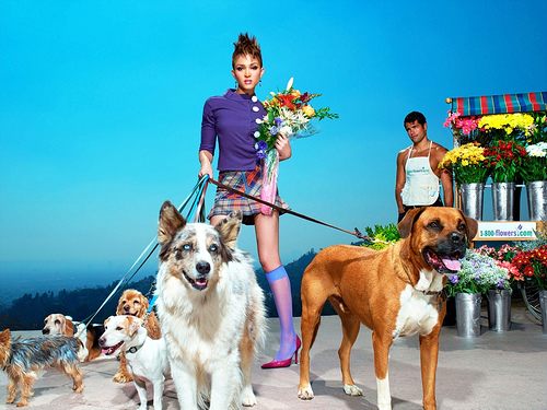 ไฮแฟชั่น จูงน้องหมาเดินเล่น หน้าร้านขายดอกไม้