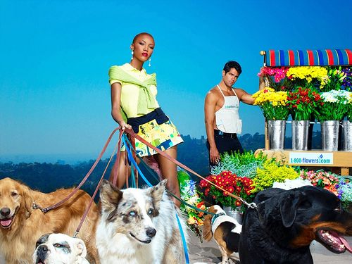 ไฮแฟชั่น จูงน้องหมาเดินเล่น หน้าร้านขายดอกไม้