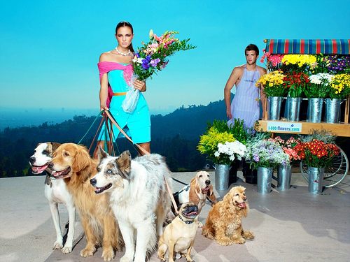 ไฮแฟชั่น จูงน้องหมาเดินเล่น หน้าร้านขายดอกไม้