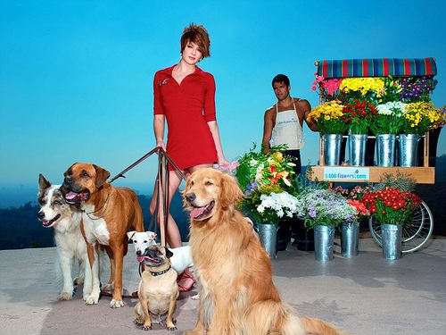 ไฮแฟชั่น จูงน้องหมาเดินเล่น หน้าร้านขายดอกไม้