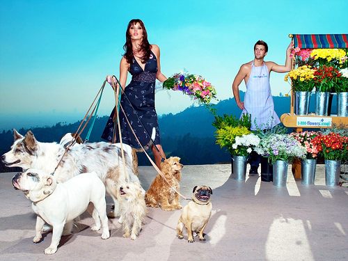 ไฮแฟชั่น จูงน้องหมาเดินเล่น หน้าร้านขายดอกไม้