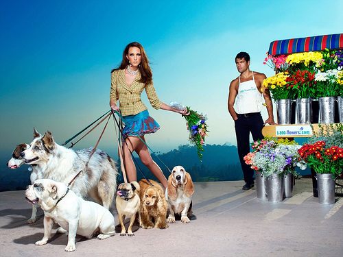 ไฮแฟชั่น จูงน้องหมาเดินเล่น หน้าร้านขายดอกไม้