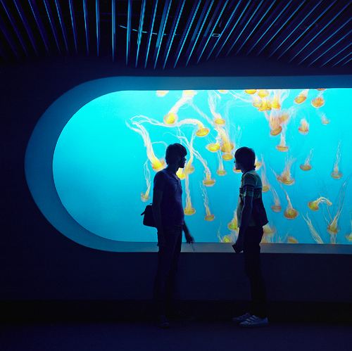 เด็กฝรั่งถ่ายรูปสวยๆก่อนนอนครับ