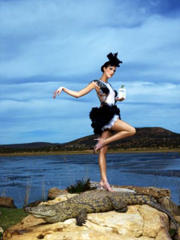 ไฮแฟชั่น บอดี้ เพ้นท์ เป็นสัตว์ป่าต่างๆของแอฟริกา ให้กับ โลชั่นทาผิว ลูบริเดิร์ม กับจระเข้