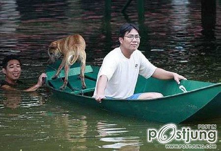 เมื่อพวกเราโดนน้ำท่วมๆ เพื่อนๆ ของเราเค้าก็น่าสงสารเหมือนกันเนาะ By Chay-ake