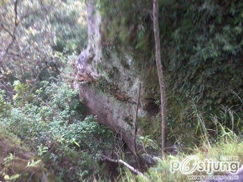 สถานที่ท่องเที่ยวบ้านสบลืน อำเภอวังเหนือ จังหวัดลำปาง ชุมชนแห่งการอนุรักษ์ป่าต้นน้ำและป่าไม้ของ SCG