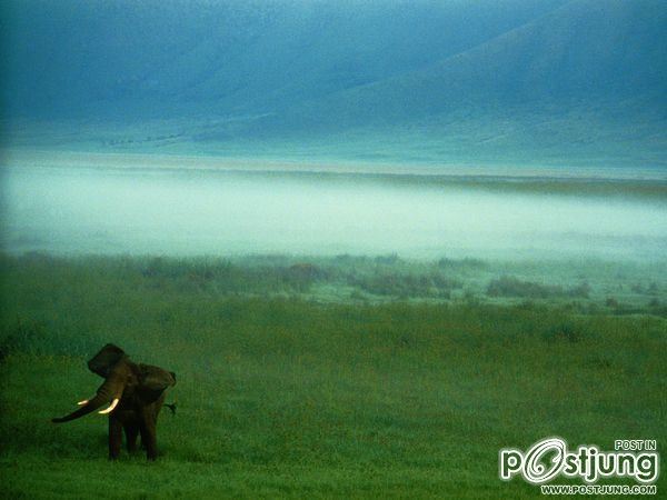 ชายรองน้องชายเอกพาชมภาพสวยๆจากทั่วโลก3