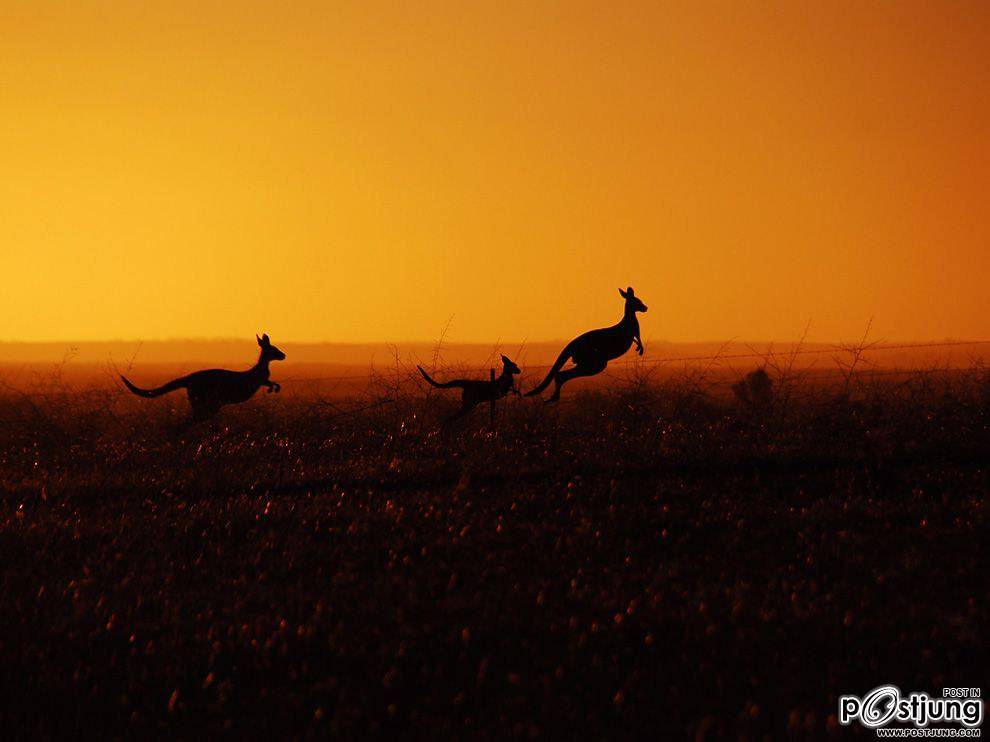 ชายรองน้องชายเอกพาชมภาพสวยๆจากทั่วโลก3