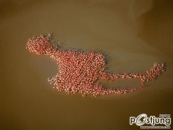 ชายรองน้องชายเอกพาชมภาพสวยๆจากทั่วโลก3