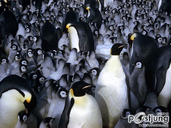 ชายรองน้องชายเอกพาชมภาพสวยๆจากทั่วโลก3