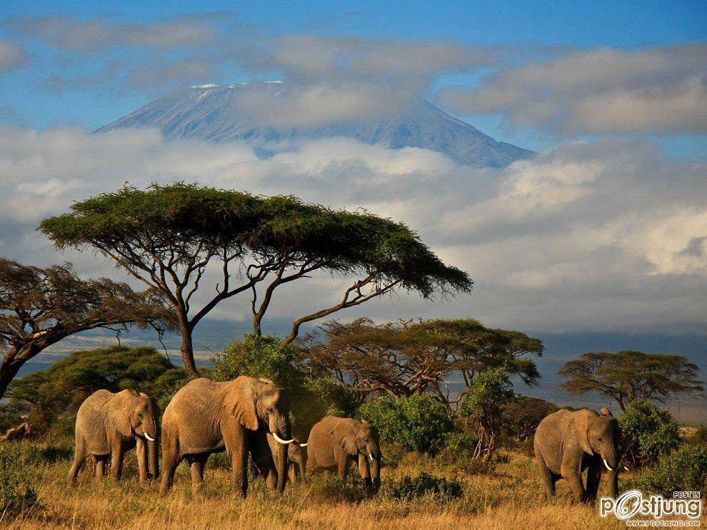 ชายรองน้องชายเอกพาชมภาพสวยๆจากทั่วโลก3