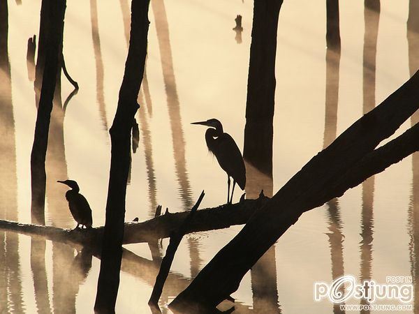 ชายรองน้องชายเอกพาชมภาพสวยๆจากทั่วโลก3