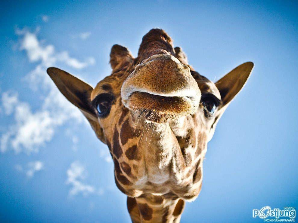 ชายรองน้องชายเอกพาชมภาพสวยๆจากทั่วโลก3