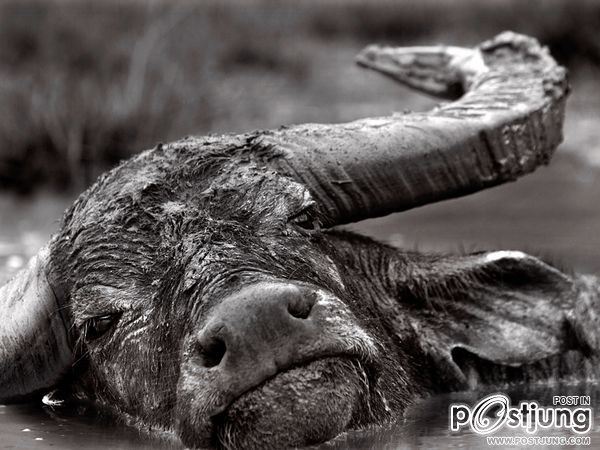 ชายรองน้องชายเอกพาชมภาพสวยๆจากทั่วโลก3