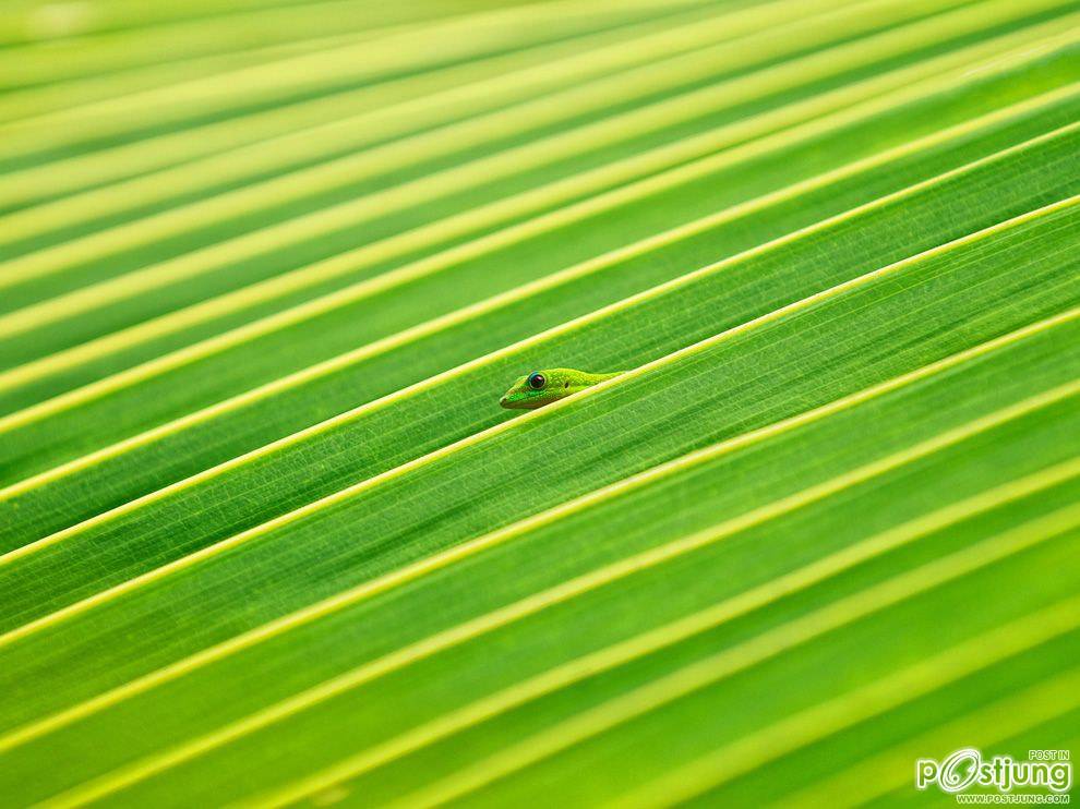 ชายรองน้องชายเอกพาชมภาพสวยๆจากทั่วโลก3