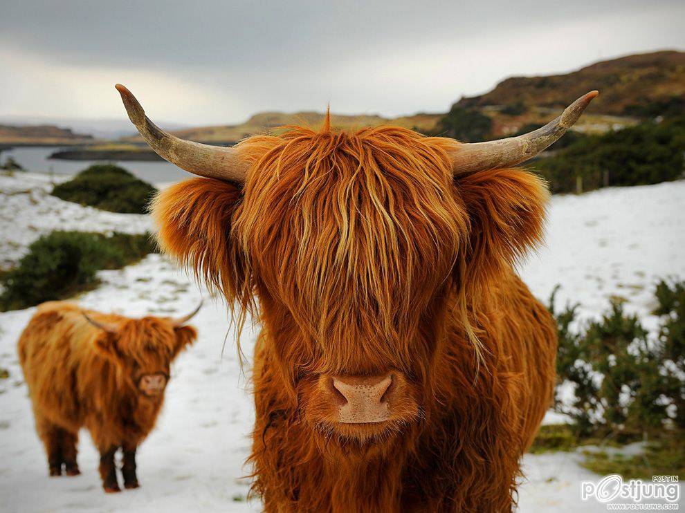 ชายรองน้องชายเอกพาชมภาพสวยๆจากทั่วโลก3