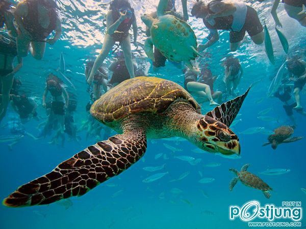 ชายรองน้องชายเอกพาชมภาพสวยๆจากทั่วโลก3