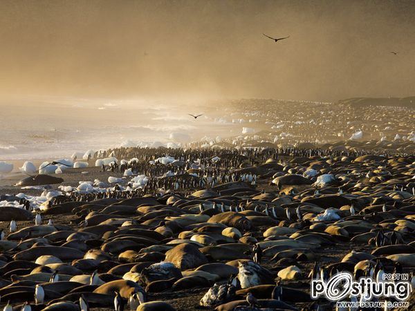 ชายรองน้องชายเอกพาชมภาพสวยๆจากทั่วโลก3