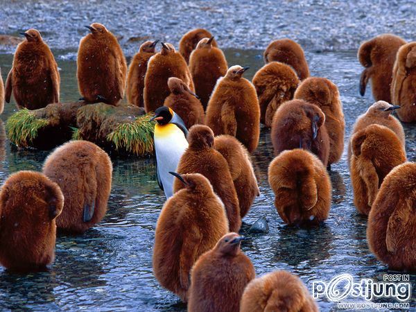 ชายรองน้องชายเอกพาชมภาพสวยๆจากทั่วโลก3