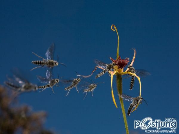 ชายรองน้องชายเอกพาชมภาพสวยๆจากทั่วโลก3