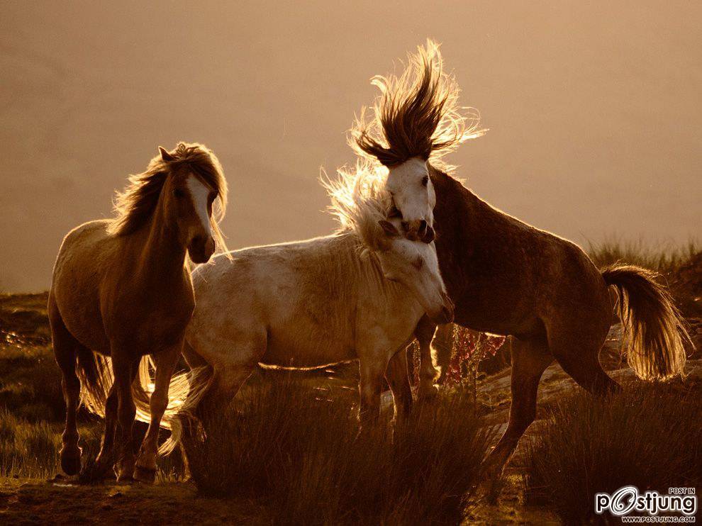 ชายรองน้องชายเอกพาชมภาพสวยๆจากทั่วโลก3