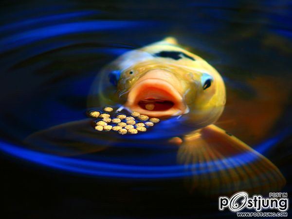 ชายรองน้องชายเอกพาชมภาพสวยๆจากทั่วโลก3