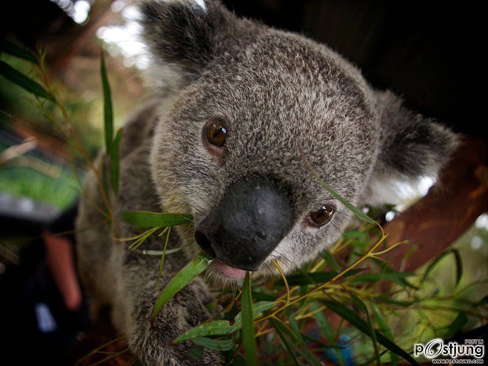 ชายรองน้องชายเอกพาชมภาพสวยๆจากทั่วโลก3