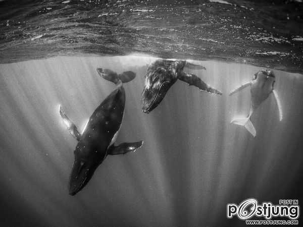 ชายรองน้องชายเอกพาชมภาพสวยๆจากทั่วโลก3