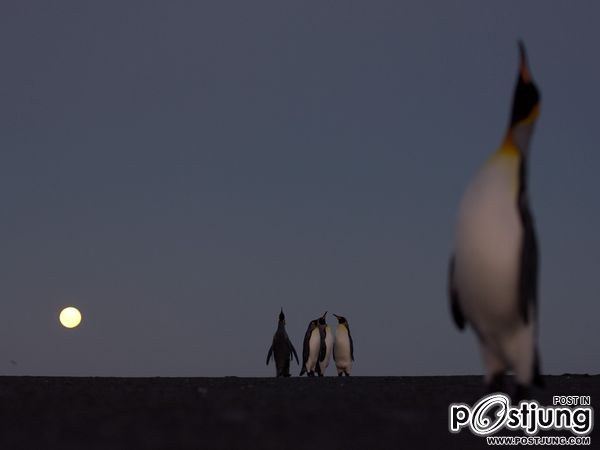 ชายรองน้องชายเอกพาชมภาพสวยๆจากทั่วโลก3