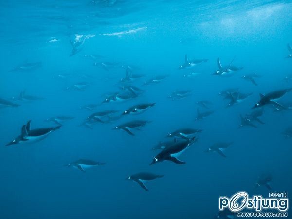 ชายรองน้องชายเอกพาชมภาพสวยๆจากทั่วโลก3