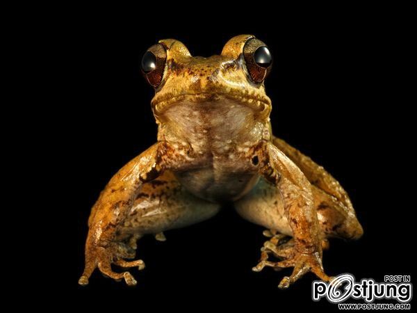 ชายรองน้องชายเอกพาชมภาพสวยๆจากทั่วโลก3