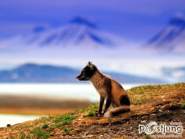 ชายรองน้องชายเอกพาชมภาพสวยๆจากทั่วโลก3