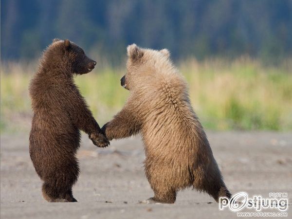 ชายรองน้องชายเอกพาชมภาพสวยๆจากทั่วโลก3