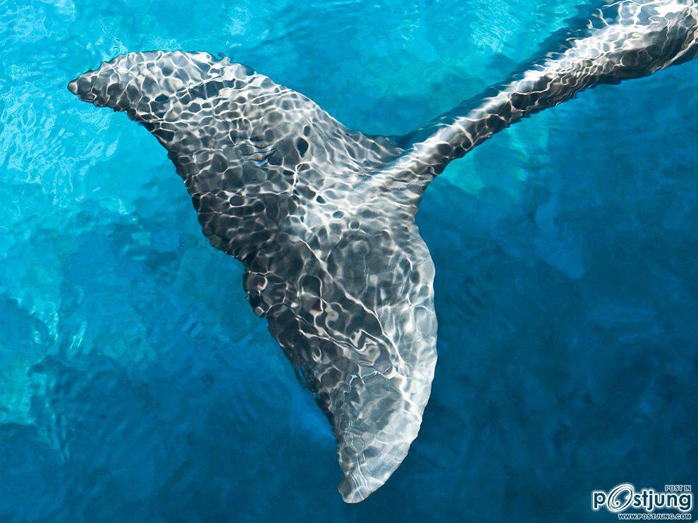 ชายรองน้องชายเอกพาชมภาพสวยๆจากทั่วโลก3