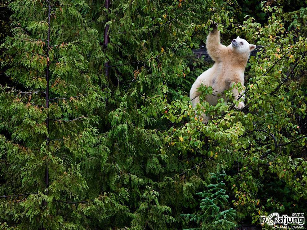 ชายรองน้องชายเอกพาชมภาพสวยๆจากทั่วโลก3